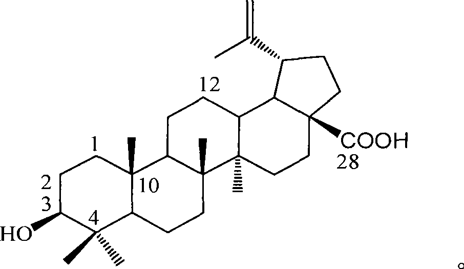Use of betulinic acid in preparing glycosidase inhibitor medicine