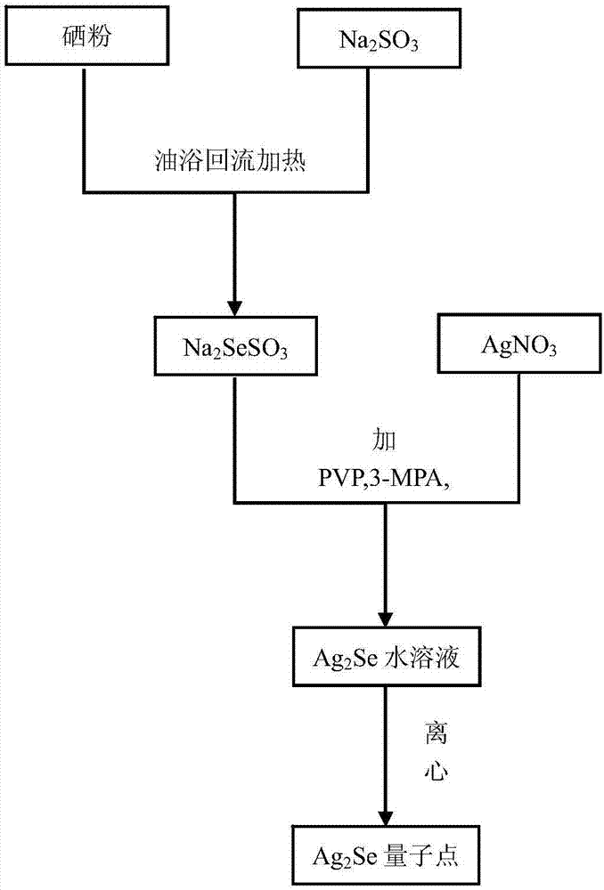 Method for fast preparing particle size-controllable water-soluble silver selenide quantum dot