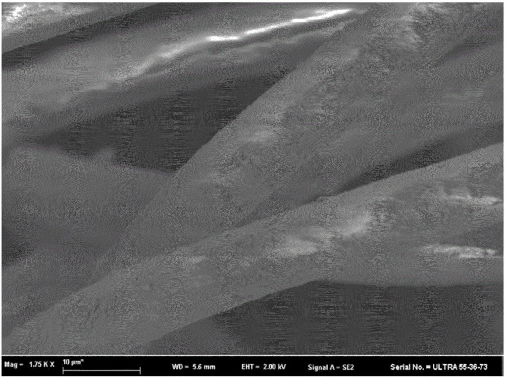 Preparation method for loading nanoparticle composite fiber through thermal spray adhesion method