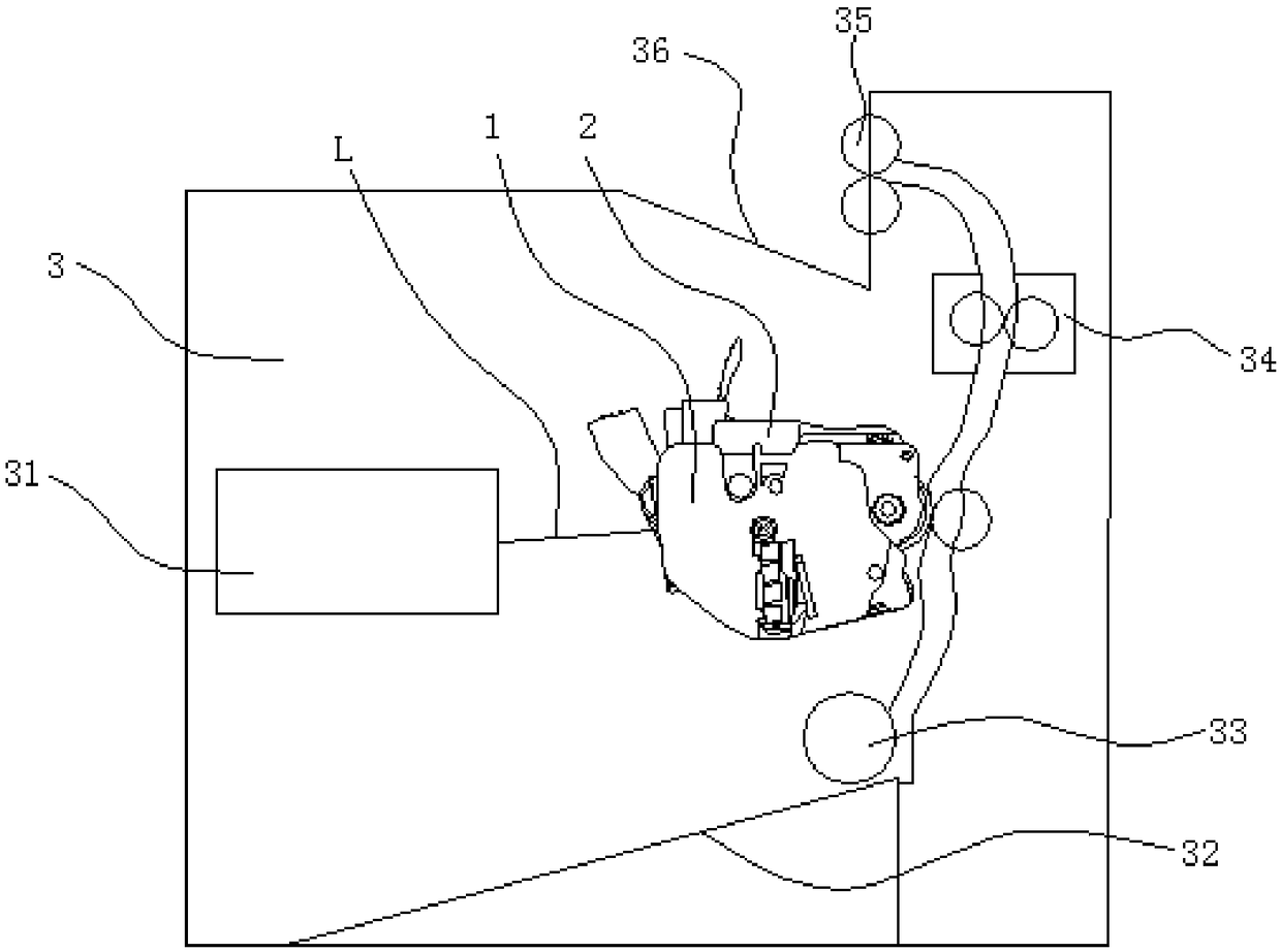 Developing unit, treating box and electronic imaging device