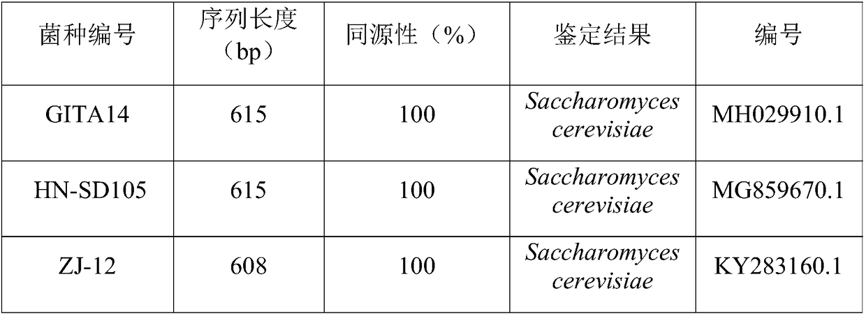 Saccharomyces cerevisiae and application thereof to wine making