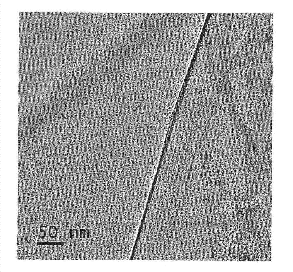 Nano-precious metal catalyst and preparation method thereof