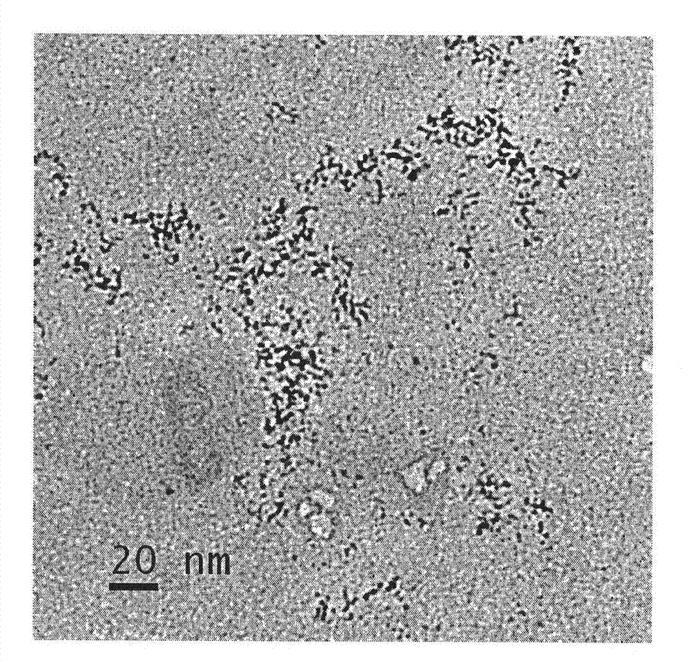 Nano-precious metal catalyst and preparation method thereof