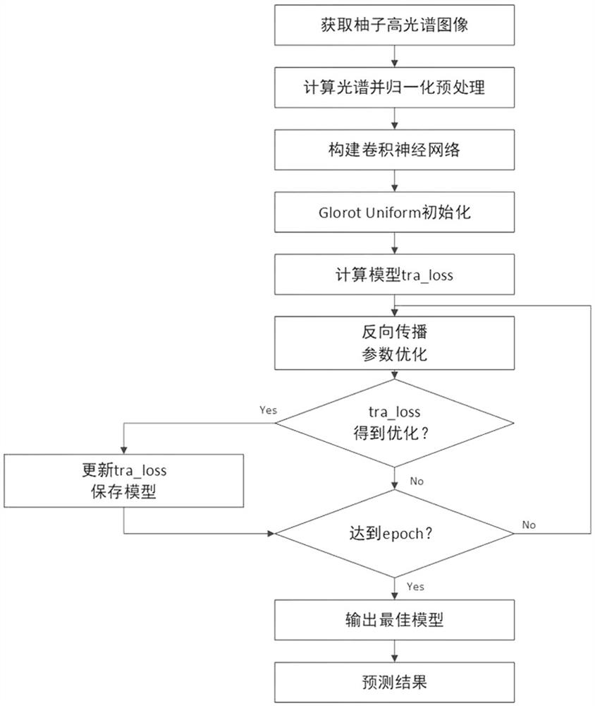 Grapefruit granulation classification method based on convolutional neural network and hyperspectral technology