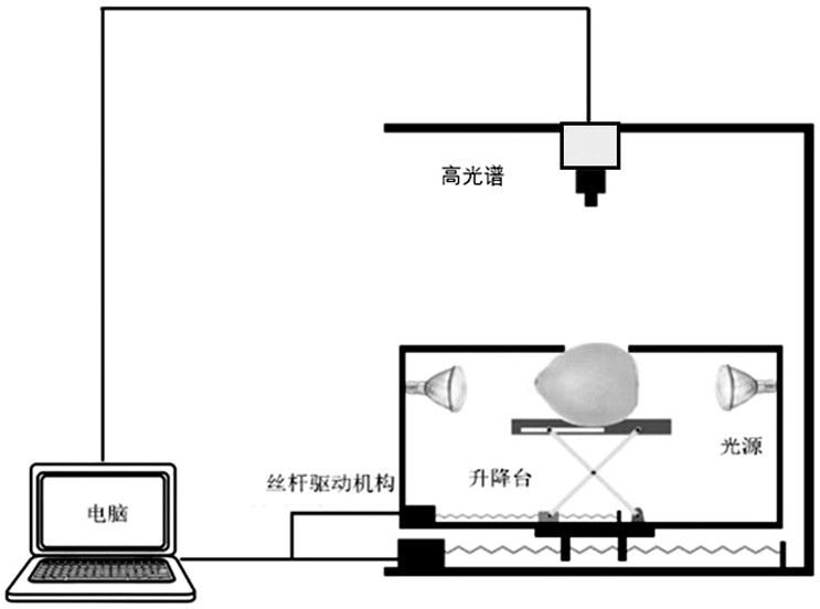 Grapefruit granulation classification method based on convolutional neural network and hyperspectral technology