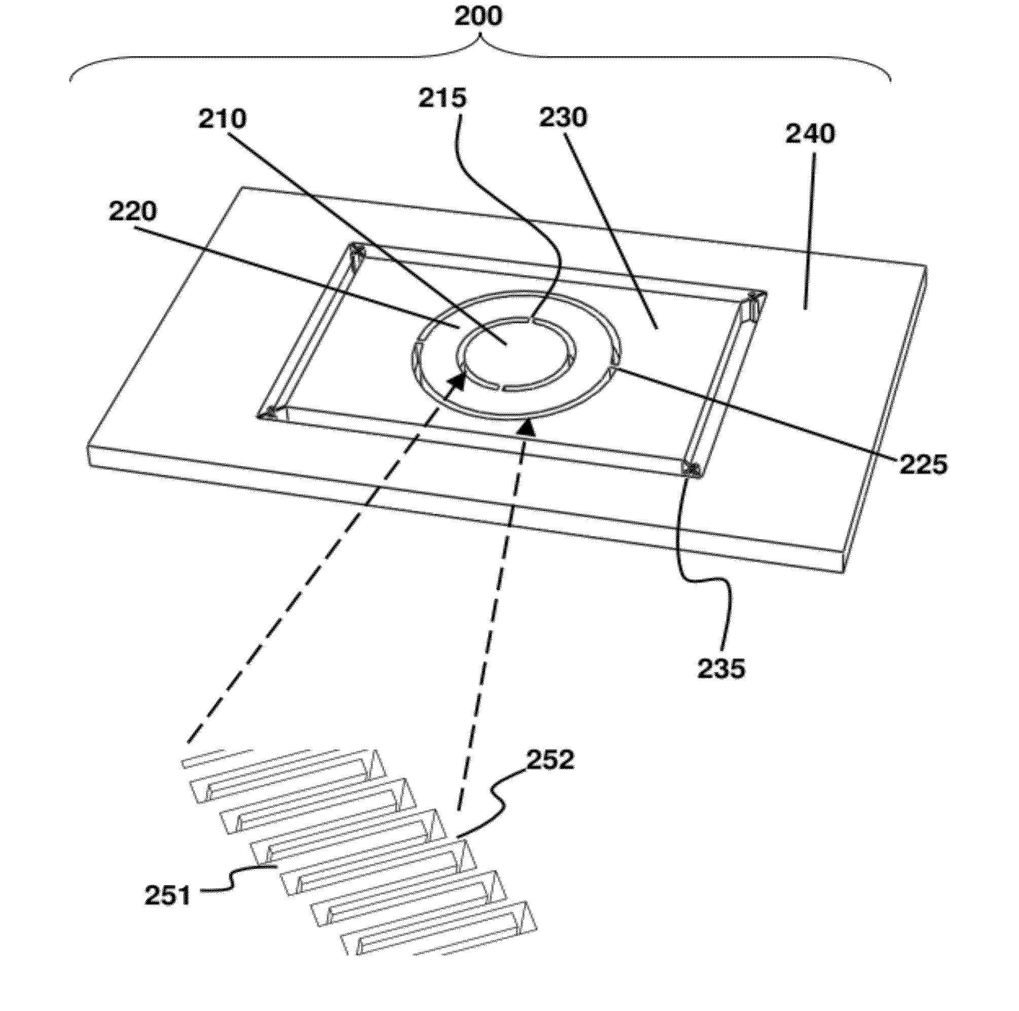 Device for reducing speckle effect in a display system