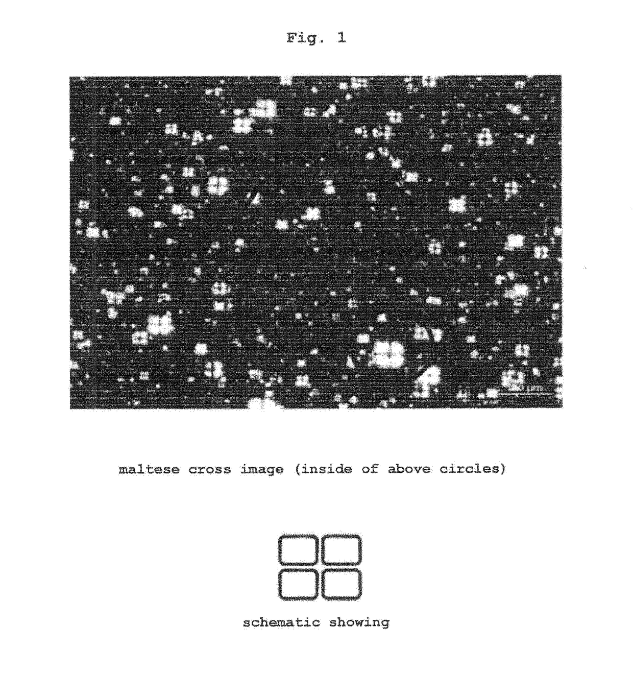 Multilamellar vesicle preparation containing acyl basic amino acid derivative and physiologically active substance