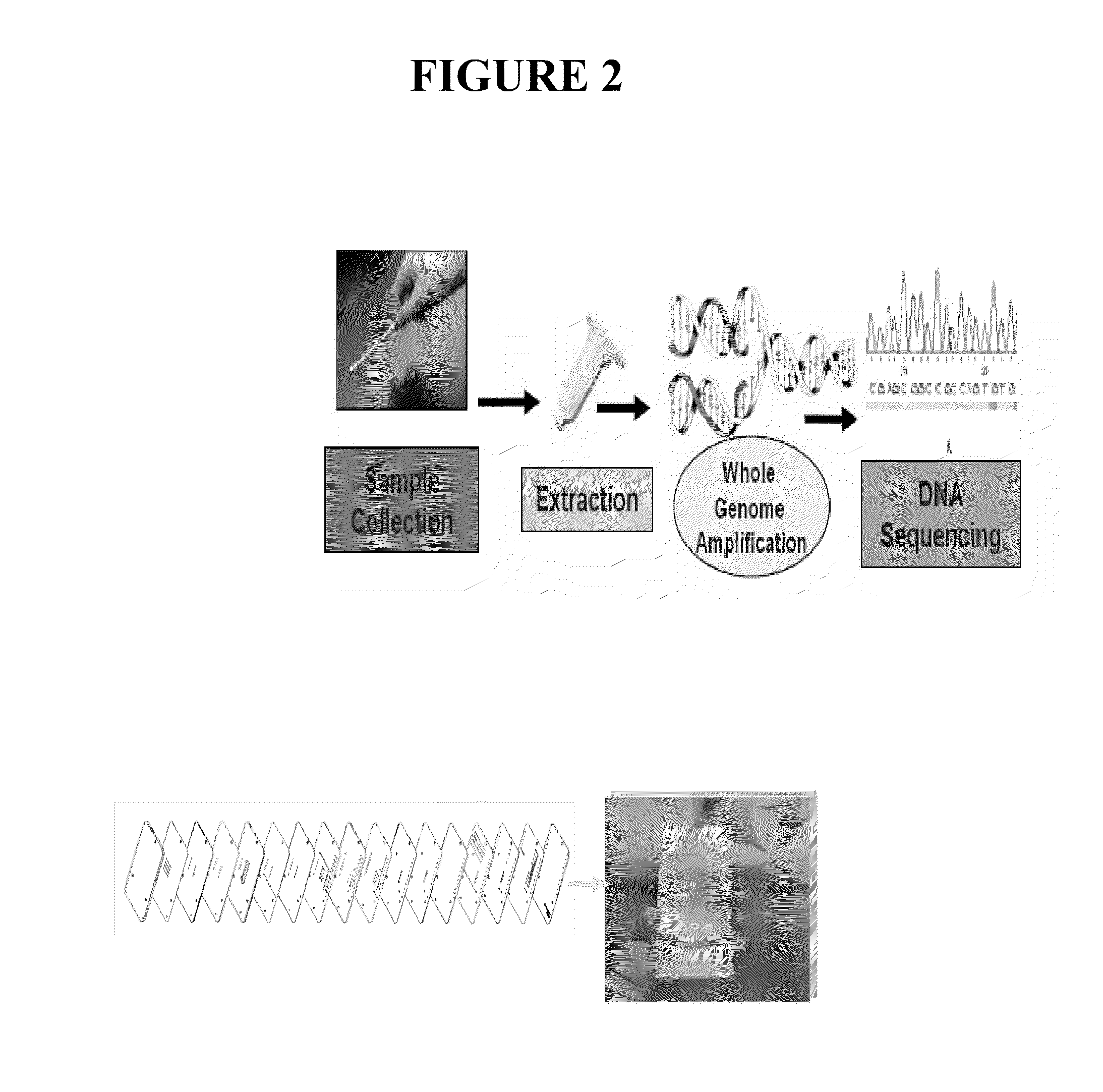 Integrated sample preparation systems and stabilized enzyme mixtures