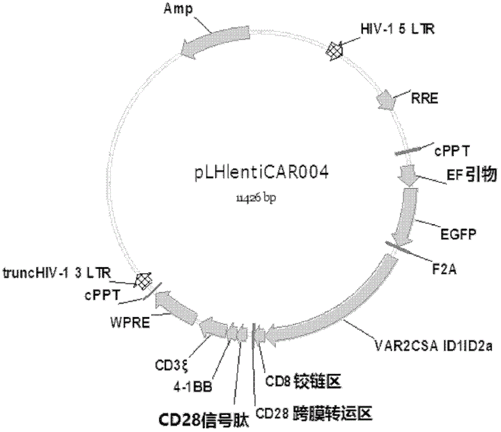 Method and system for improving size-based product recommendations using aggregated review data