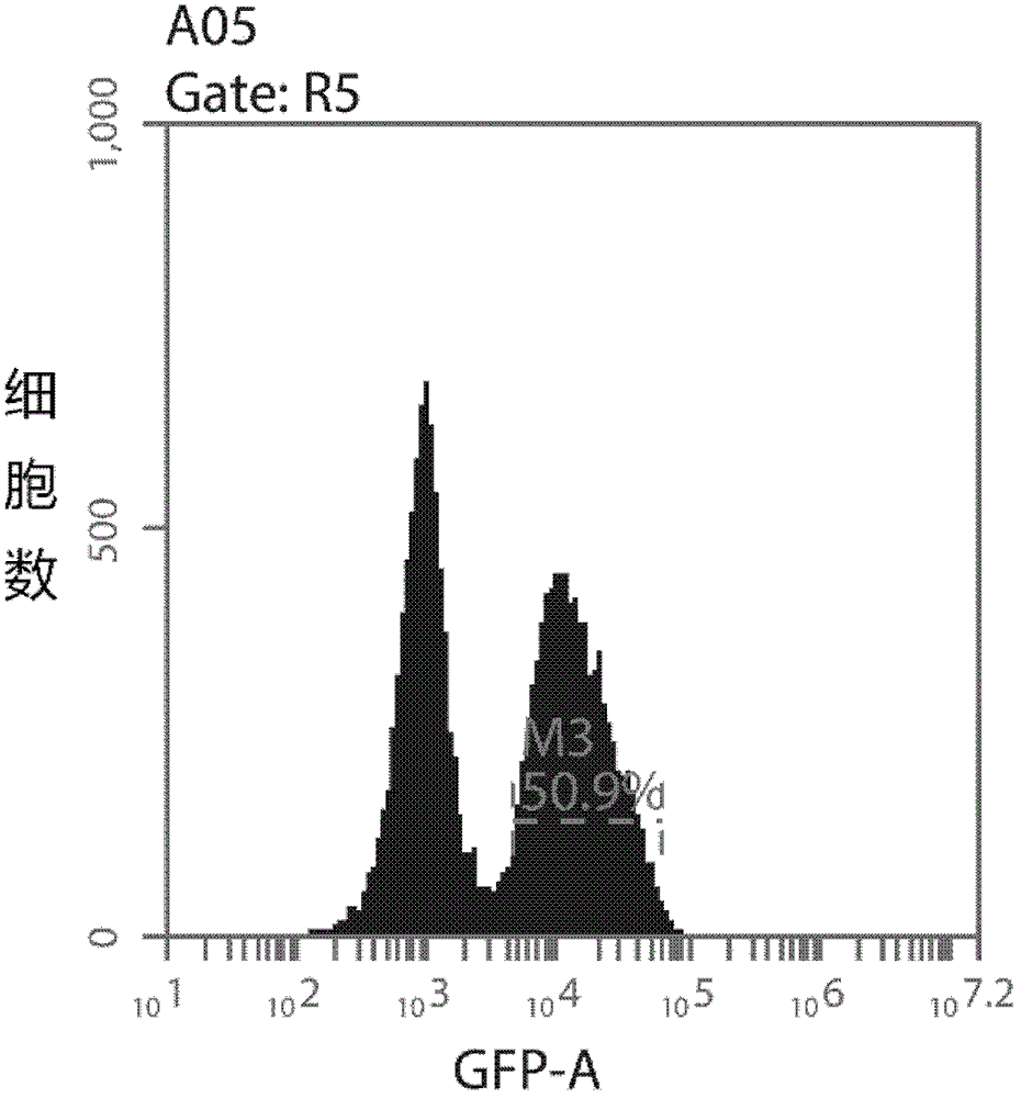 Method and system for improving size-based product recommendations using aggregated review data