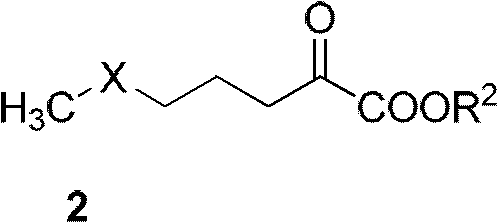 Synthetic method of alpha-amino acid with photolytic activity