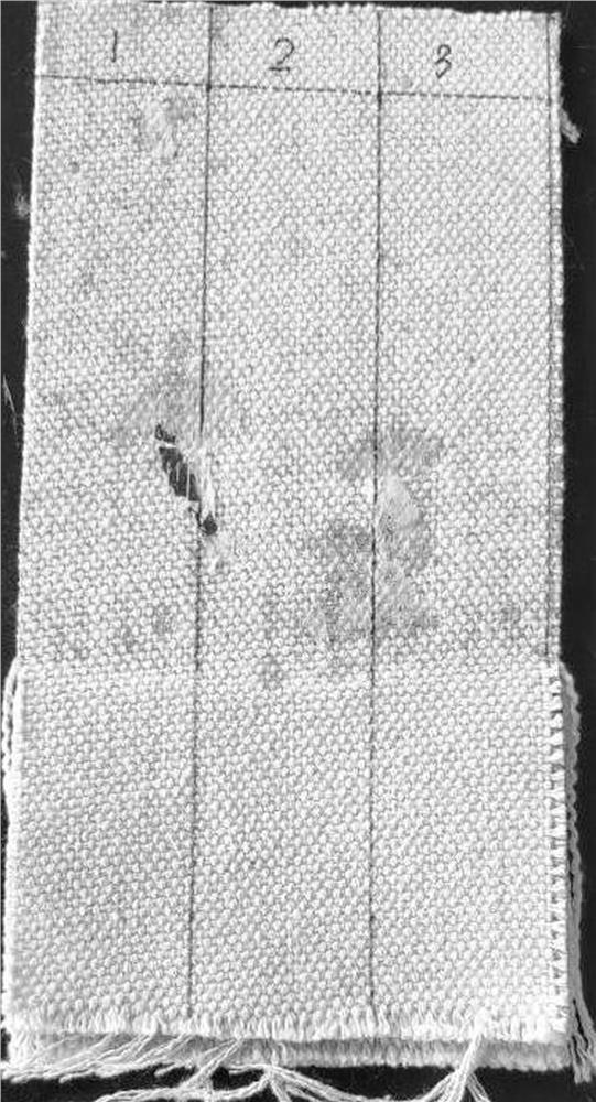 Preparation method of chloroprene and methyl methacrylate copolymer