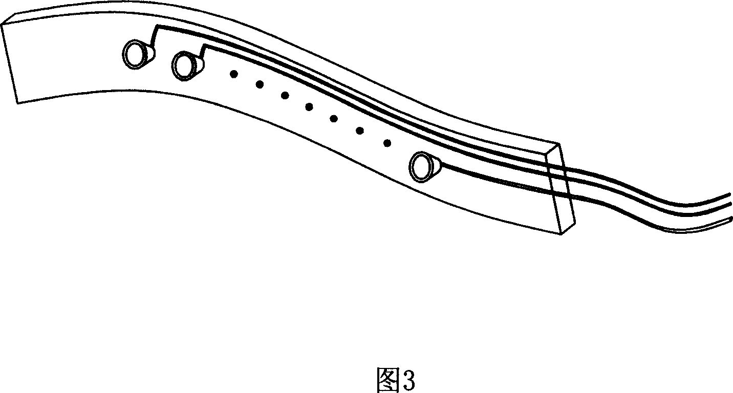 Esophageal detection instrument and its appliance