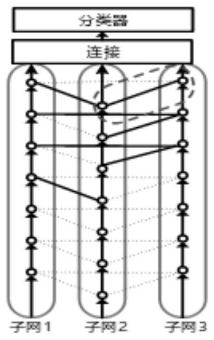 Brain-like binary neural network automatic structure learning method