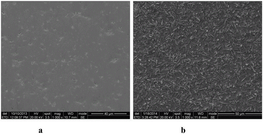 A process for electroplating nickel-tungsten-phosphorus on the surface of sintered NdFeB magnets