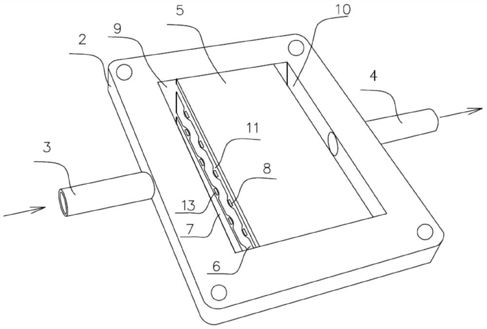 Ozone electrolytic bath