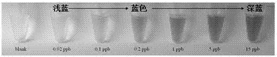 A visual and rapid method for the detection of trace uranyl ions in aqueous environments