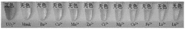 A visual and rapid method for the detection of trace uranyl ions in aqueous environments