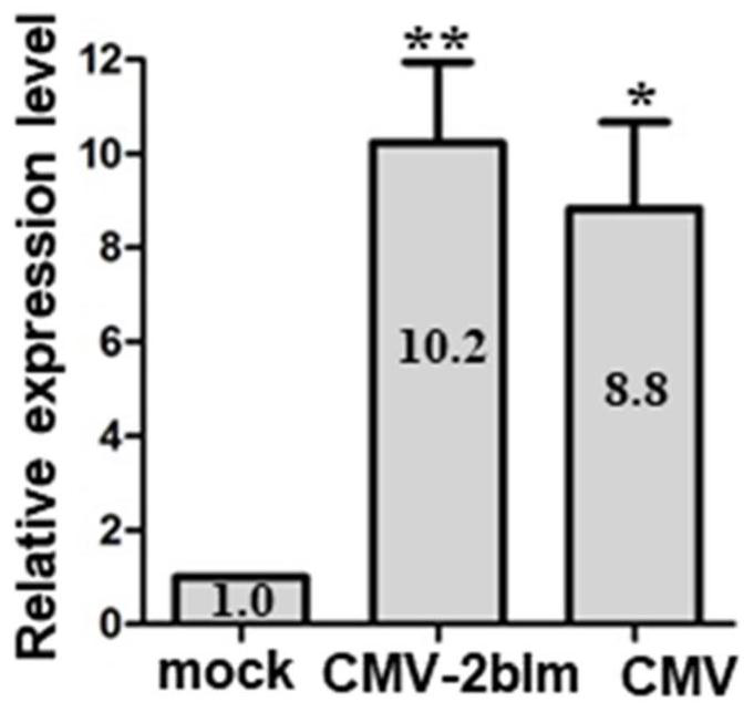 Plant selective autophagy receptor small peptide and application thereof