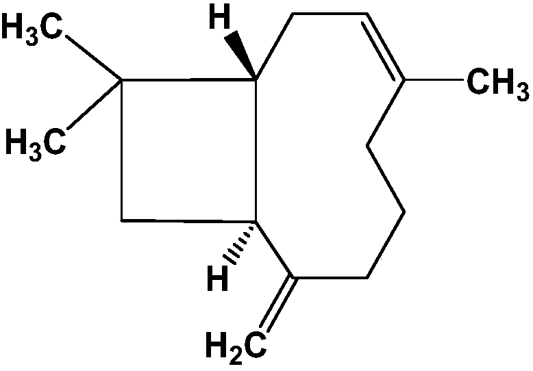 Application of beta-caryophyllene in preparing medicine for preventing and treating external itching of skin