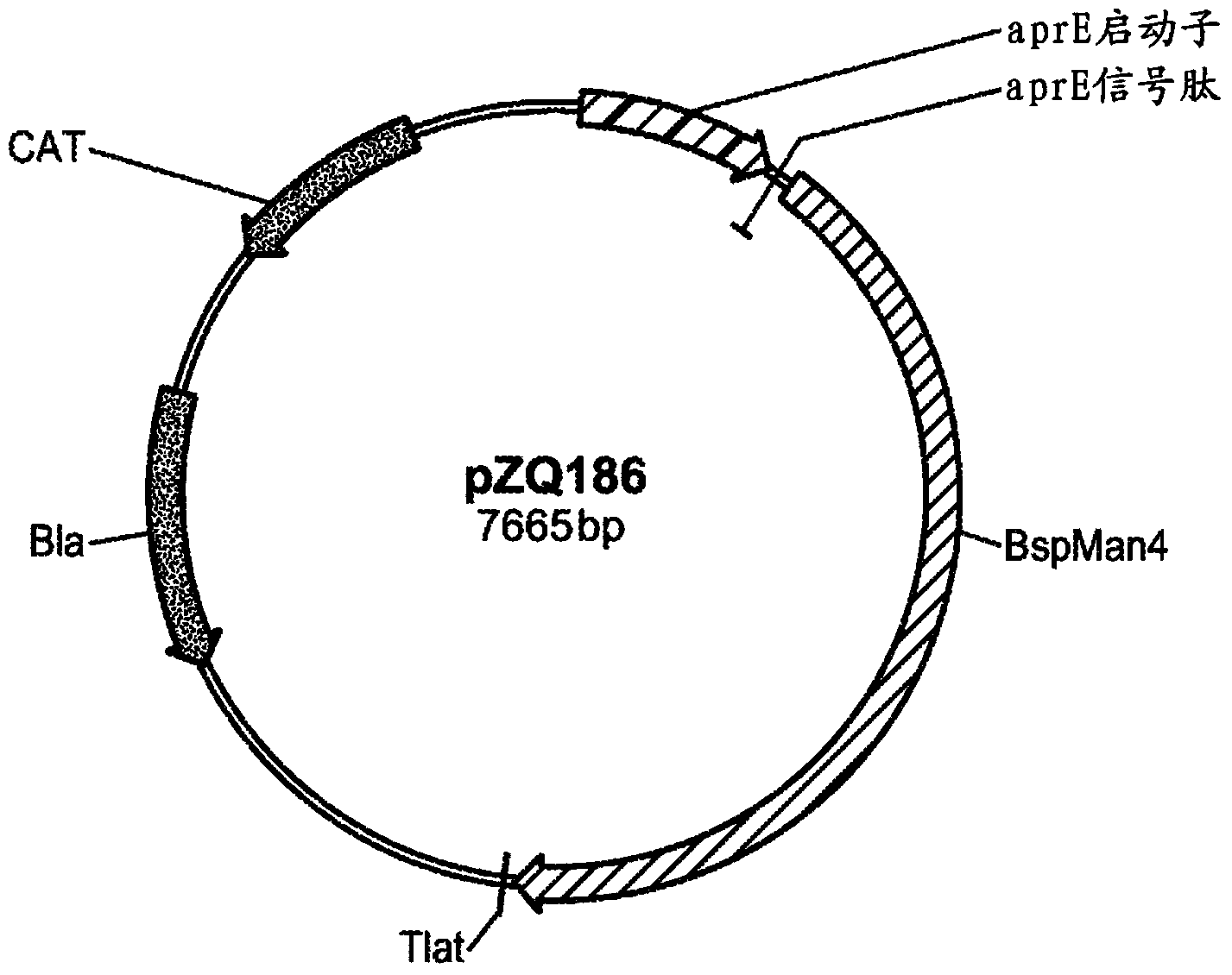 Detergent compositions containing bacillus sp. mannanase and methods of use thereof