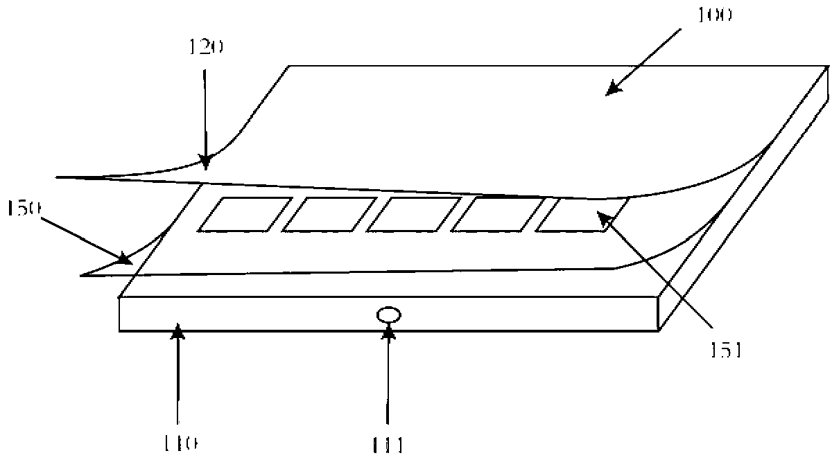 Vaginal micro-ecological environment sensor and manufacturing method thereof