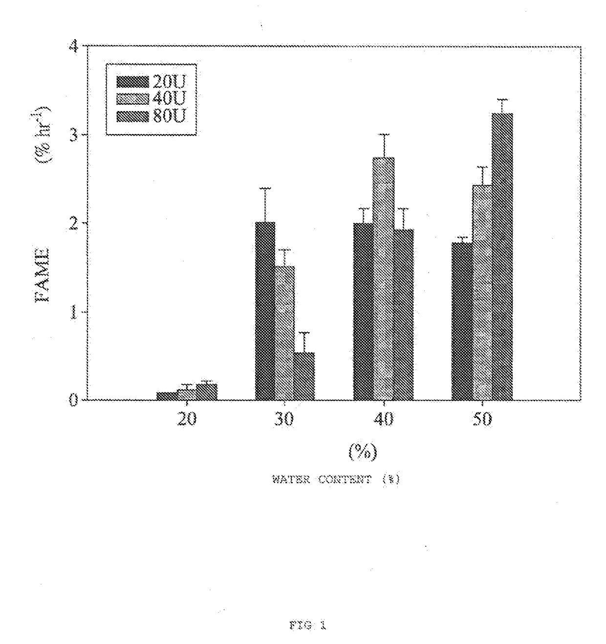 Methods for producing biodiesel by recombinant lipase
