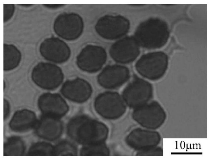 A kind of preparation method of large-diameter high-strength medium-modulus carbon fiber and high-strength high-modulus carbon fiber