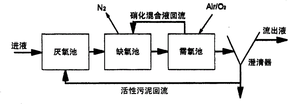 Liquid-solid fluidized bed waste water treatment system for simultaneous carbon, nitrogen and phosphorus removal