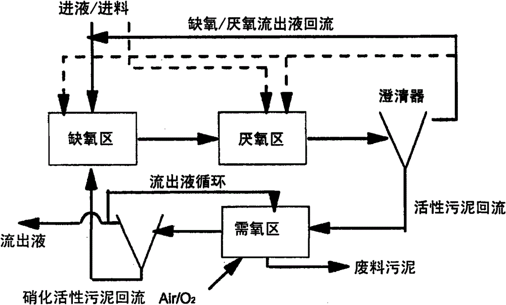 Liquid-solid fluidized bed waste water treatment system for simultaneous carbon, nitrogen and phosphorus removal