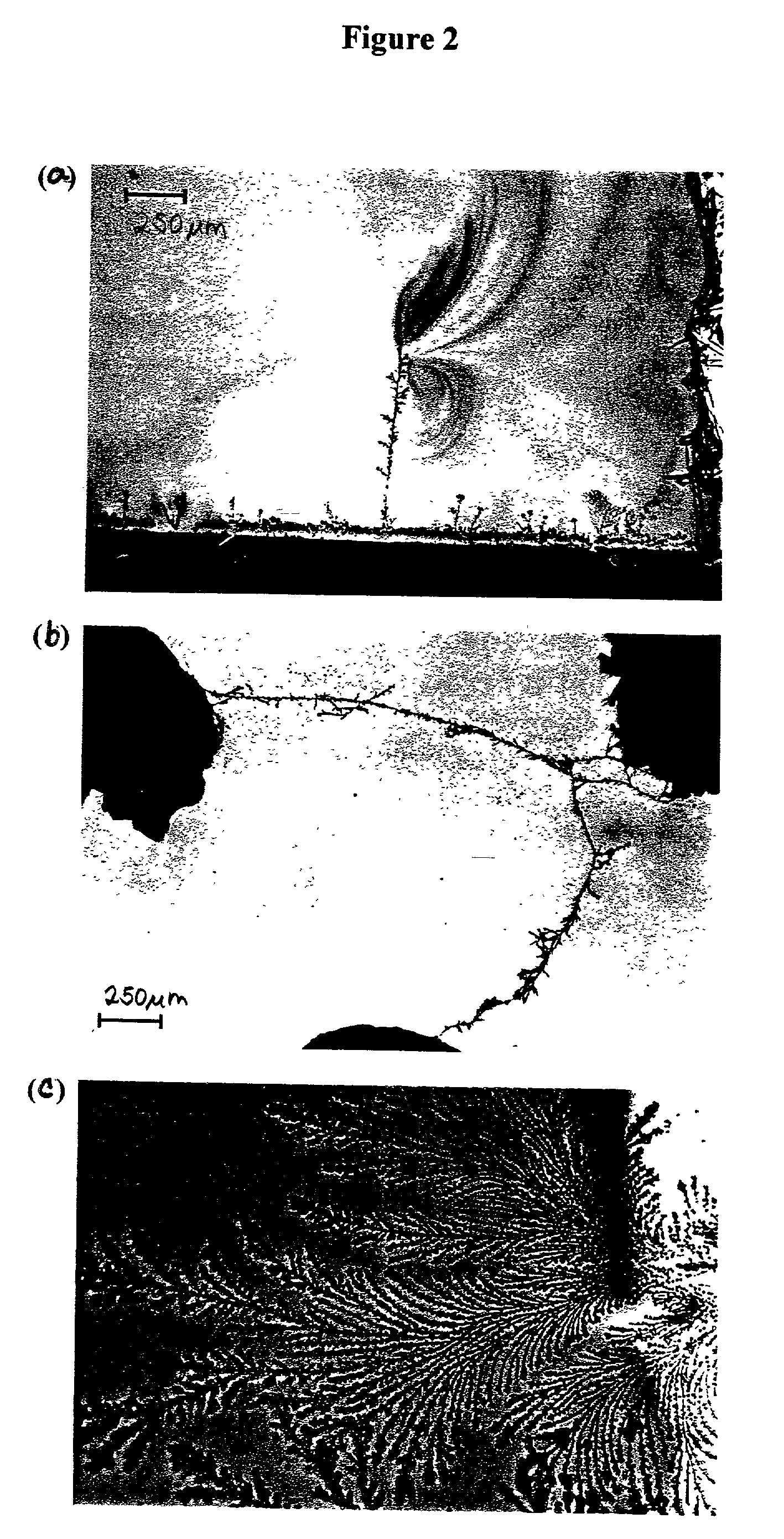 Dielectrophoretic assembling of electrically functional microwires