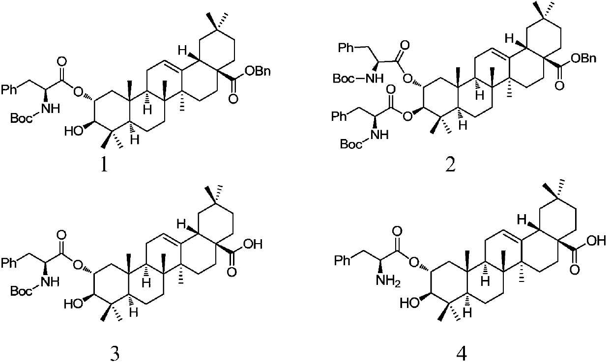 L-phenylalanine modified maslinic acids as well as synthesis methods and application thereof