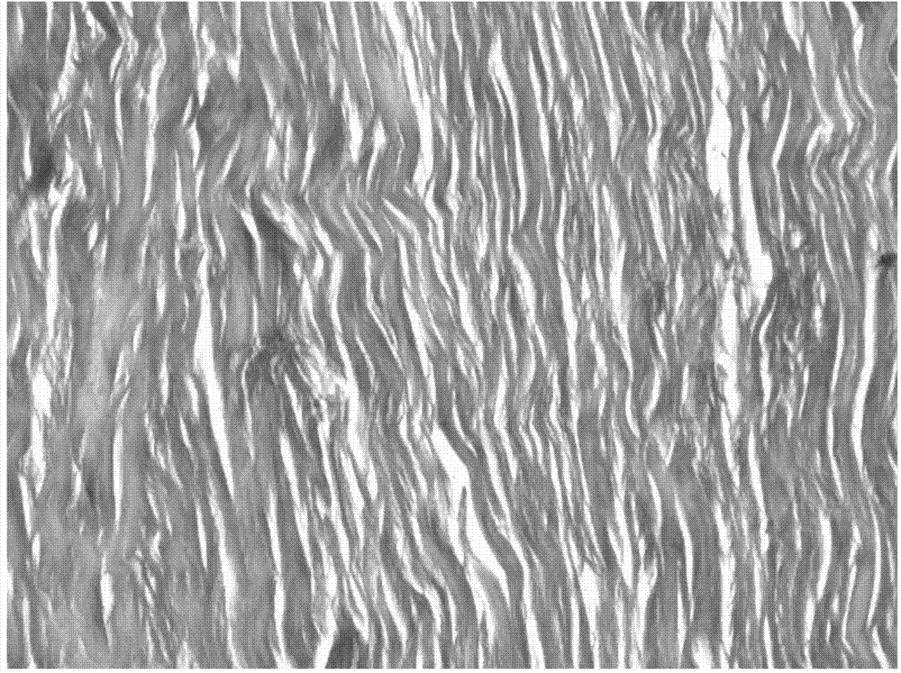 Application of tanshinone II A in preparing medicine for curing tendon adhesion