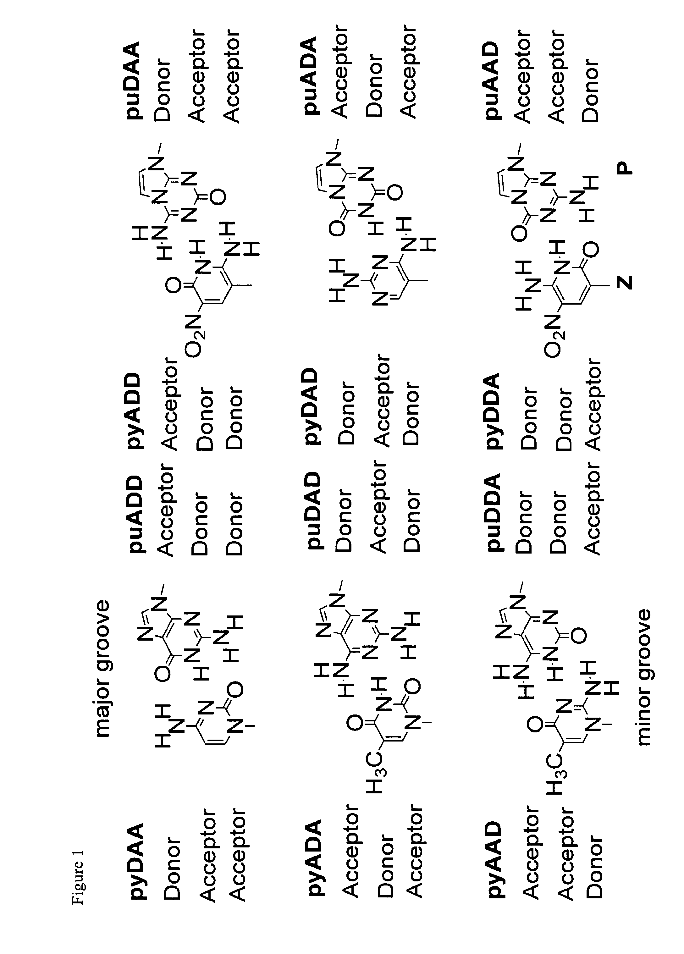 Polymerase incorporation of non-standard nucleotides