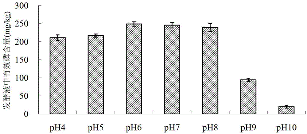 Plant growth-promoting rhizobacteria and application thereof