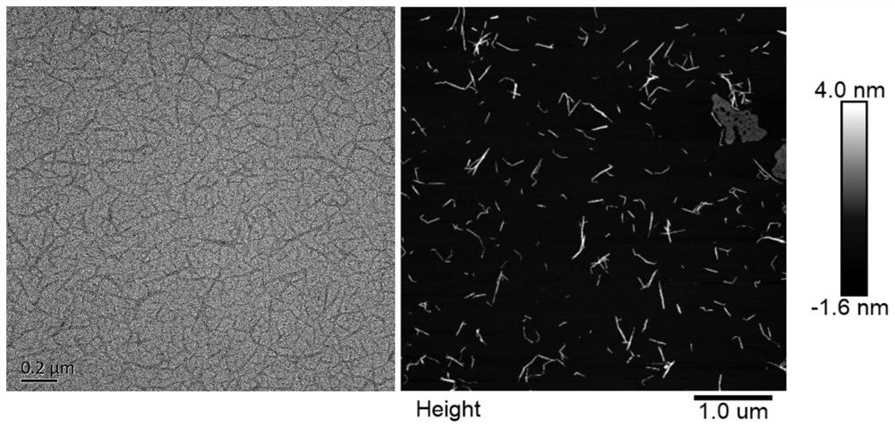 Dialdehyde nanocellulose with high substitution degree and preparation method thereof