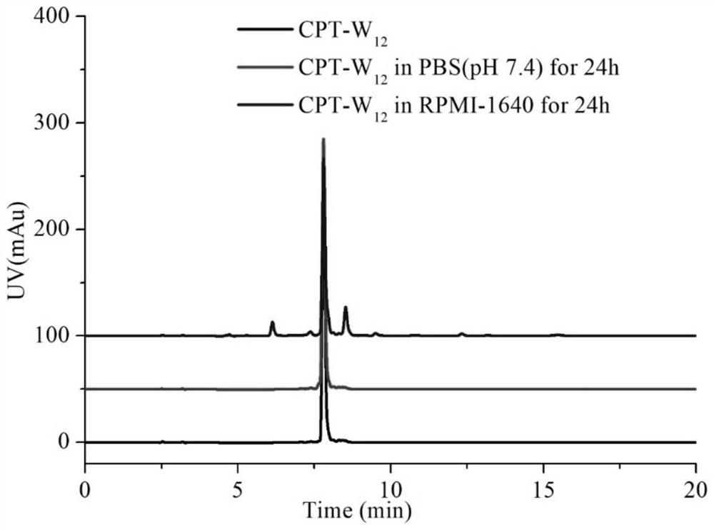 PSMA activated anti-tumor prodrug CPT-Y and preparation method and application thereof