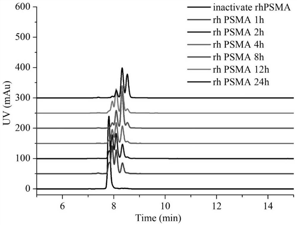 PSMA activated anti-tumor prodrug CPT-Y and preparation method and application thereof