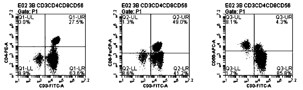 Method for preparing human CIK (cytokine-induced killer) cell by combining novel TLR7 agonist GD