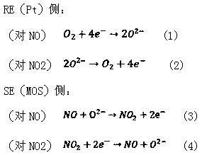 Intelligent nitrogen and oxygen sensor and detection method implemented by same