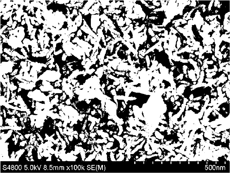 Preparation method and application of nitrogen-doped titanium dioxide heterojunction structure