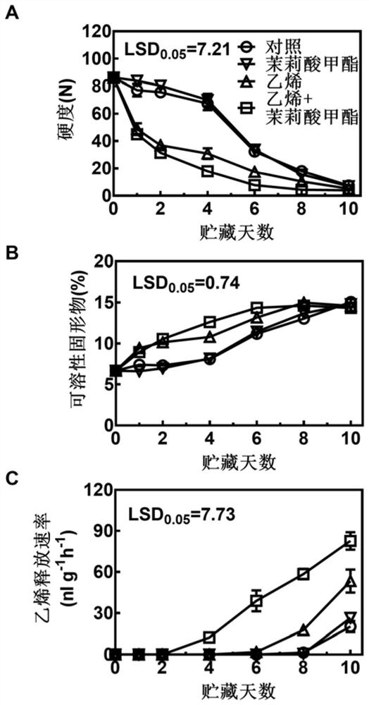 A kind of hormone combination and application thereof for enhancing ACS enzyme activity