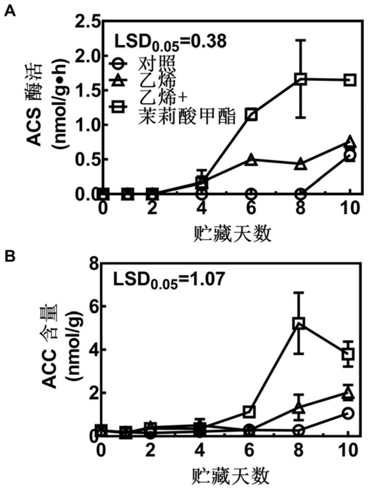 A kind of hormone combination and application thereof for enhancing ACS enzyme activity