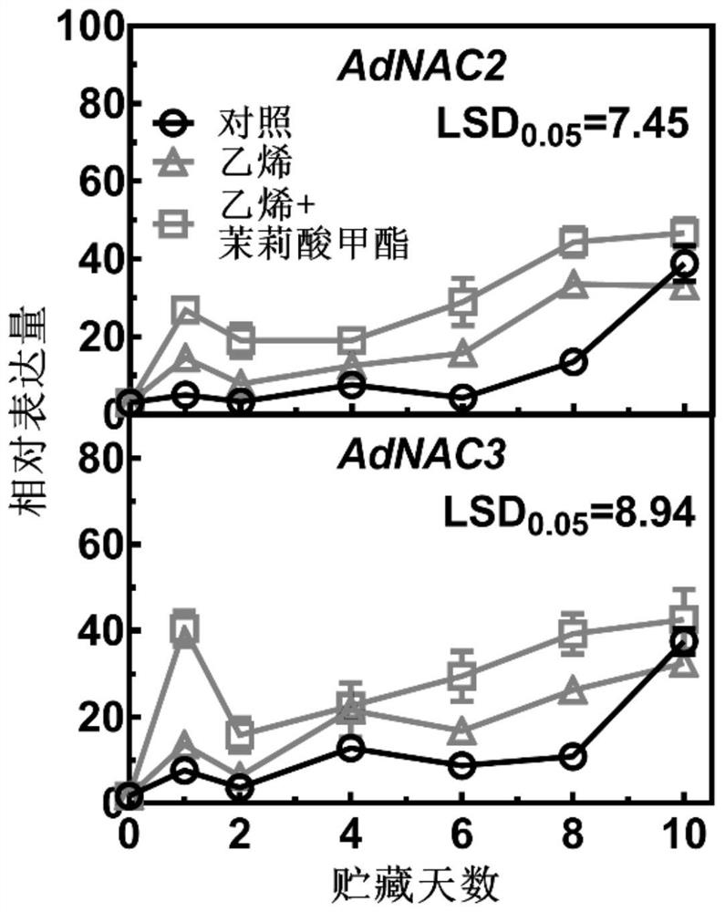 A kind of hormone combination and application thereof for enhancing ACS enzyme activity