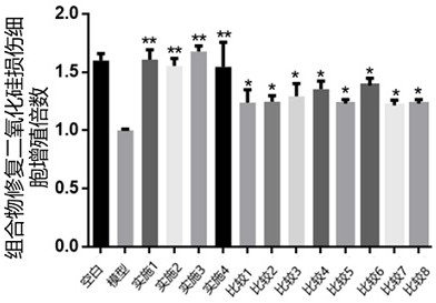 Composition with anti-pollution damage effect, preparation method and application