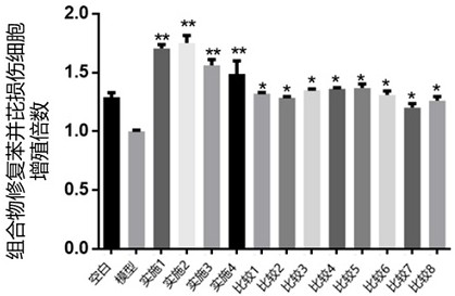 Composition with anti-pollution damage effect, preparation method and application