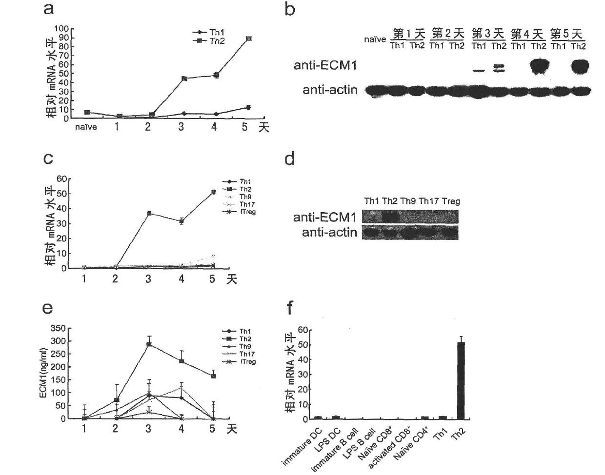 Application of extracellular matrix protein 1 and regulator thereof in preparing medicament for diagnosing or treating allergic diseases