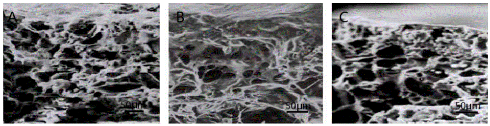 Preparation method and application of tissue engineering material for promoting directional differentiation of mesenchymal stem cells