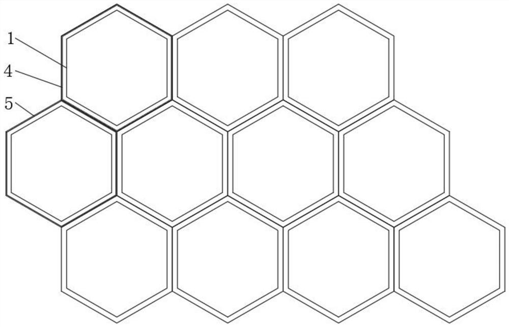 Honeycomb arrangement type skin essence and preparation method thereof