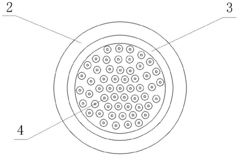 Magnetic field comb magneto therapy apparatus